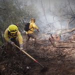 CONAF Valparaíso abre 596 cupos para integrar sus brigadas de combate de incendios forestales