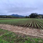 Ministerio de Agricultura avanza en apoyos para distintos rubros afectados por la emergencia agrícola en Valparaíso