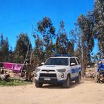 PDI VALPARAÍSO DETUVO A HOMBRE POR MALTRATO ANIMAL Y FAENAMIENTO CLANDESTINO EN PLACILLA
