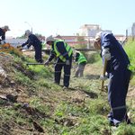 CONAF fortalece Programa de Emergencia de Empleo con 331 nuevos cupos en la Región de Valparaíso