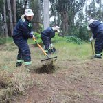 Seremi de Agricultura llama a reforzar medidas de prevención de incendios forestales en la Región de Valparaíso